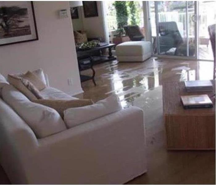 Living room with standing water (clear water)